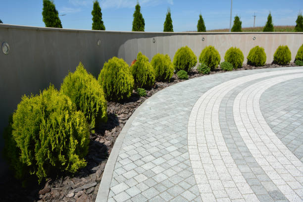 Best Residential Paver Driveway  in Snow Hill, MD